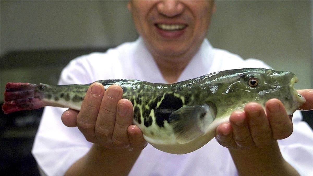 9. Fugu (Japón): El pez globo potencialmente mortal