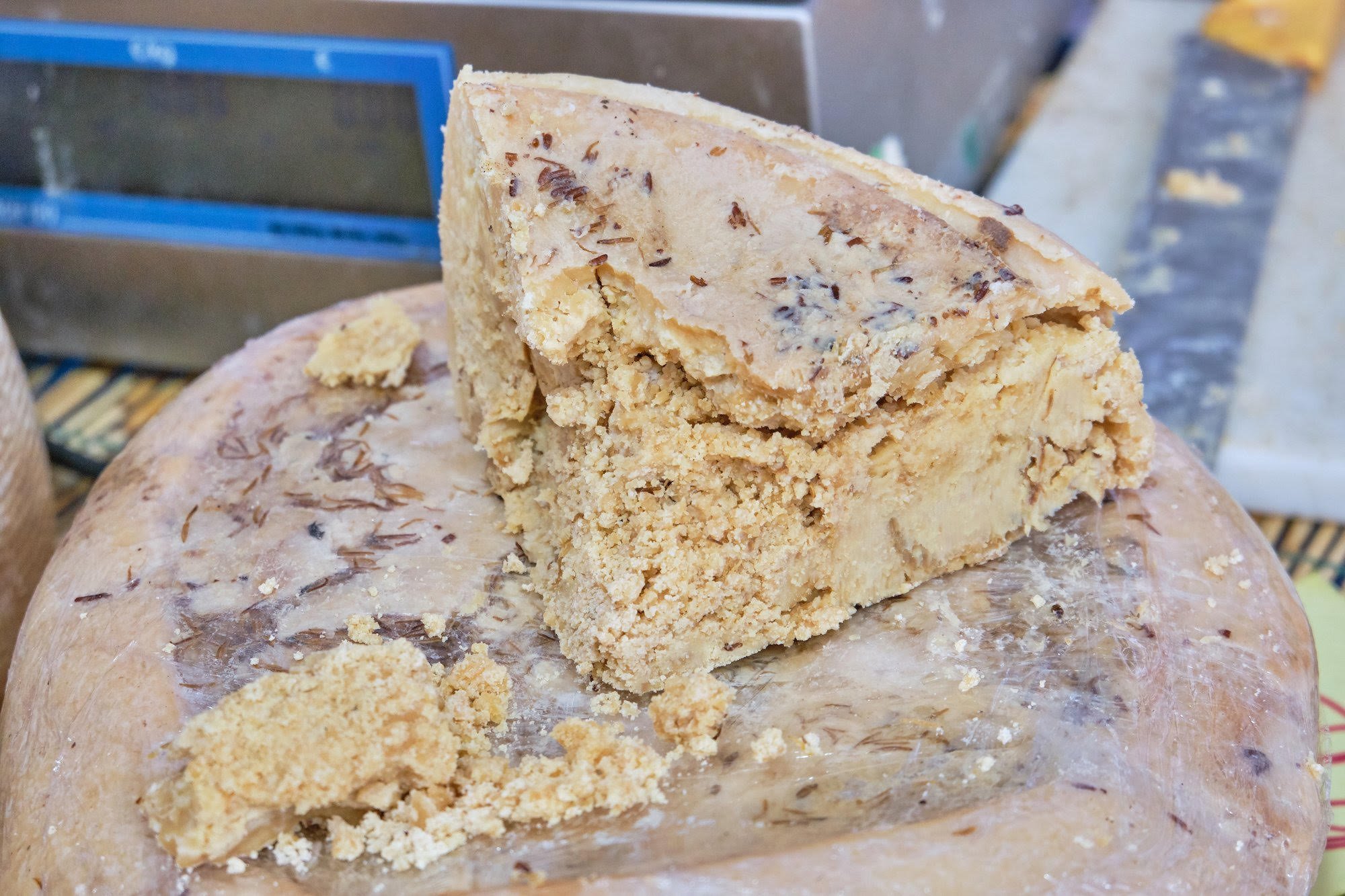 Casu Marzu (Italia)- El queso con larvas vivas